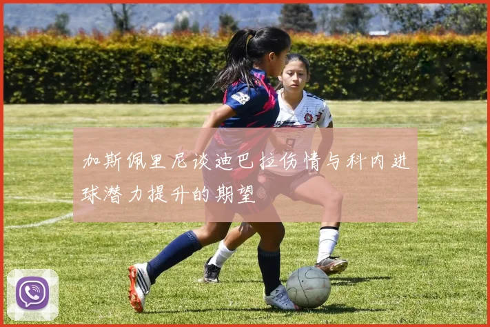加斯佩里尼谈迪巴拉伤情与科内进球潜力提升的期望