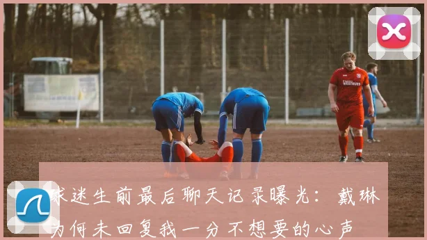 球迷生前最后聊天记录曝光：戴琳为何未回复我一分不想要的心声