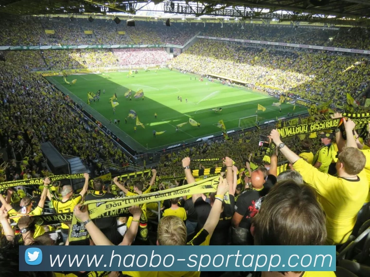 好博足球平台生态图